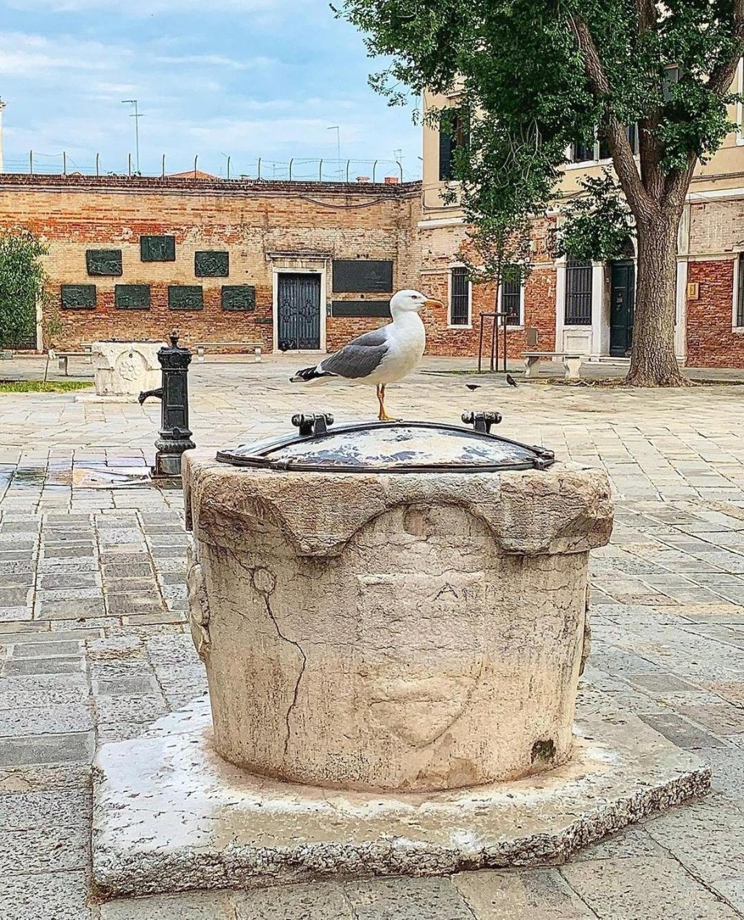 Ca'Rosa Daire Venedik Dış mekan fotoğraf